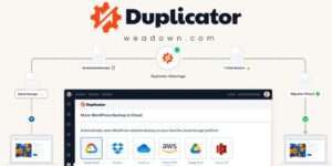 Duplicator Pro WordPress Plugin