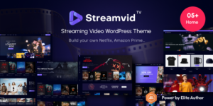 StreamVid Theme Streaming Video WordPress Theme 6.4.5